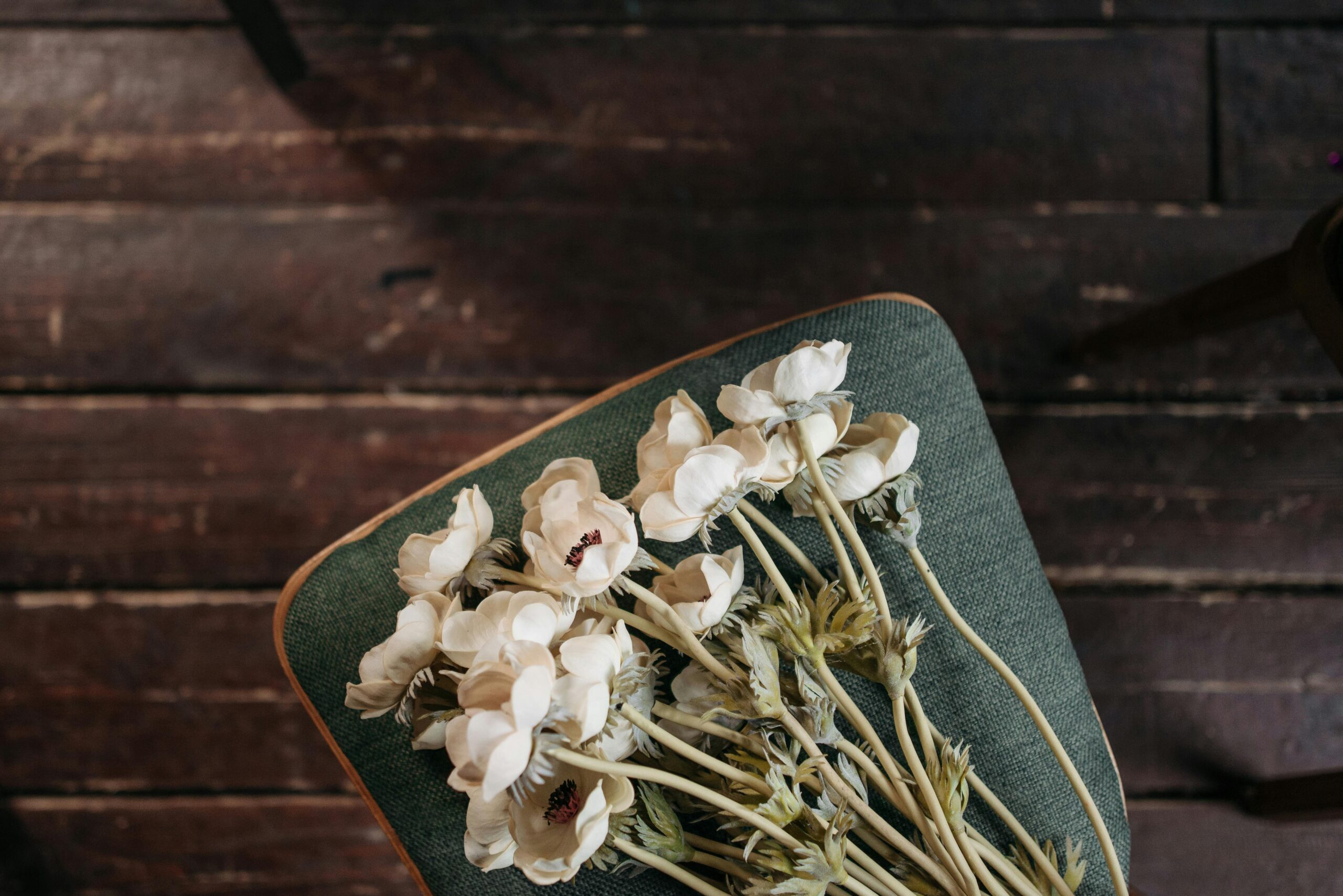 An artistic top-view shot of white flowers resting on a green chair against a dark wooden floor.
